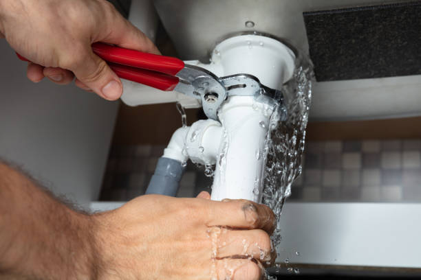 Best Fire Damage Restoration  in Dellwood, MN
