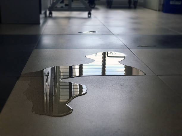 Best 24-hour water damage restoration  in Dellwood, MN