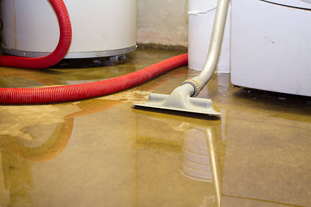 Best Ceiling water damage repair  in Dellwood, MN