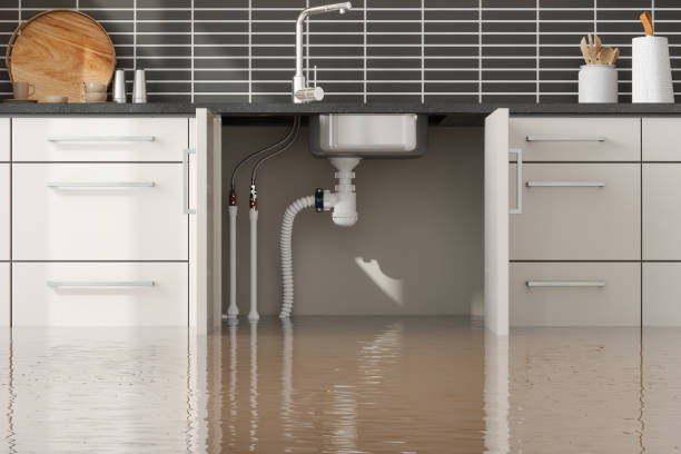 Water damage restoration experts in Dellwood, MN