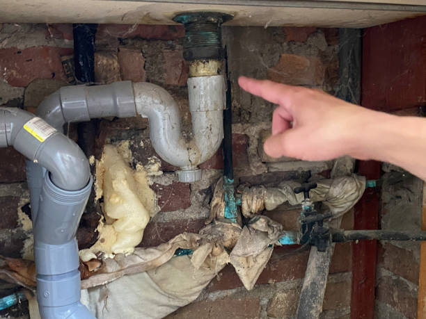 Best Water damage contractors near me  in Dellwood, MN