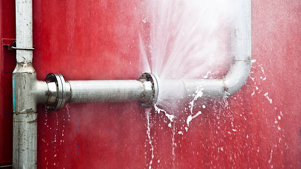 Best Mold removal after water damage  in Dellwood, MN